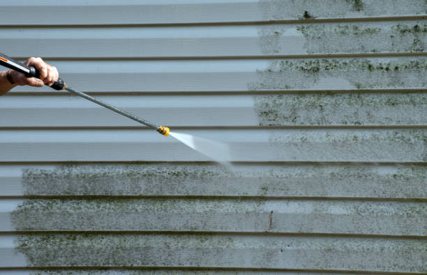 Best Roof Washing  in Columbus, MN